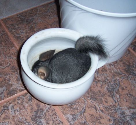 000_8830.jpg