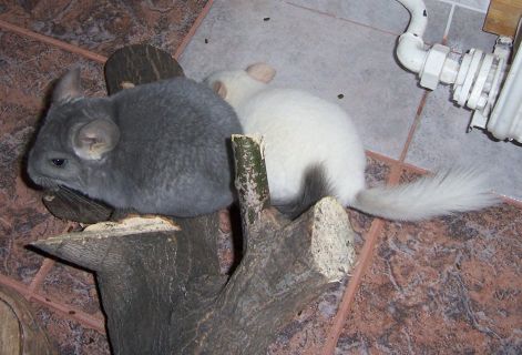 000_8885.jpg