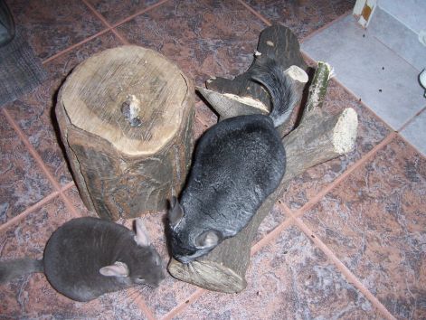 000_8888.jpg