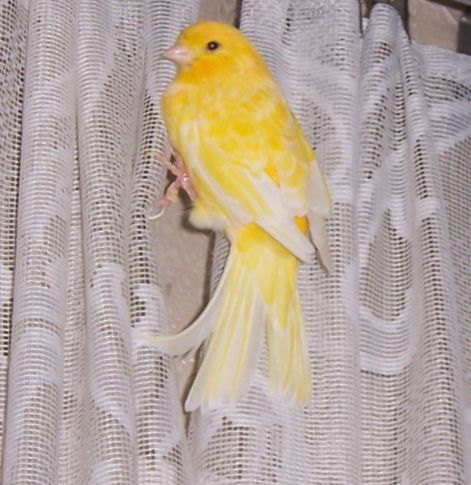000_9233.jpg